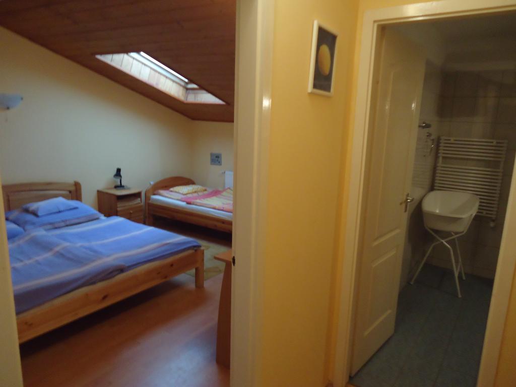 ホテル Czermann Panzio Es Etterem Oroszlány 部屋 写真